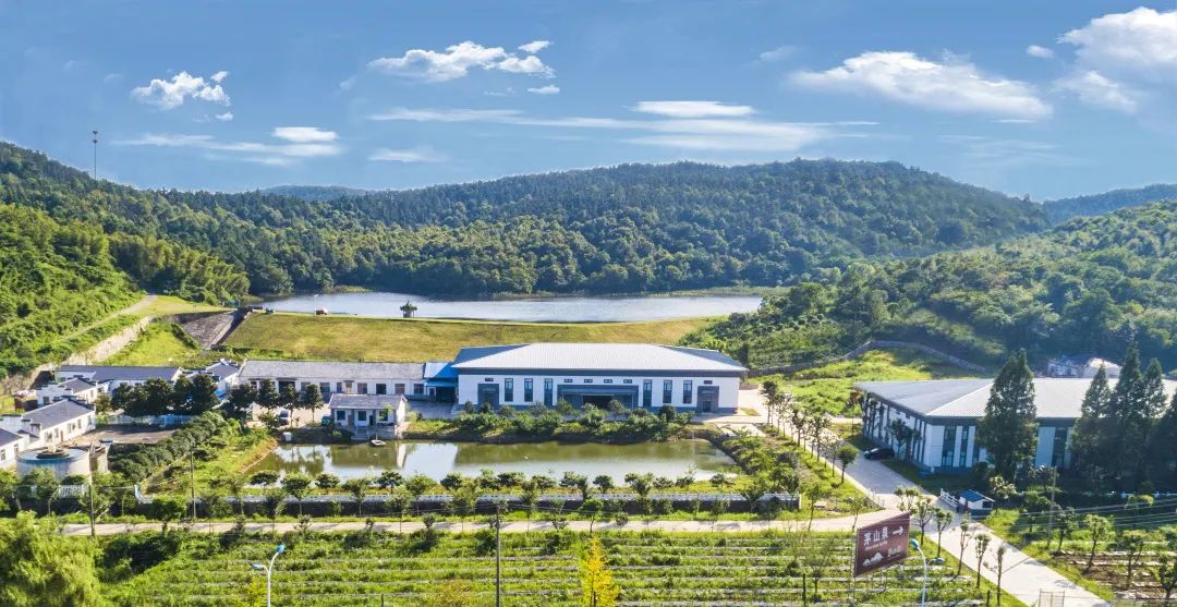 88858cc永利官网(中国)有限公司