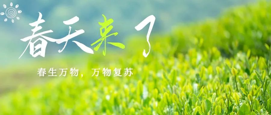 88858cc永利官网(中国)有限公司