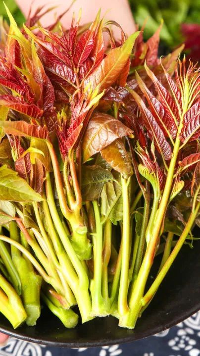 88858cc永利官网(中国)有限公司